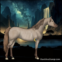 Horse Color:Liver Red Dun Rabicano 