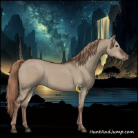 Horse Color:Liver Red Dun Rabicano 