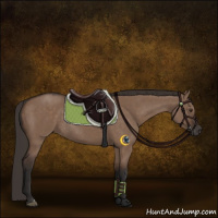 Horse Color:Liver Red Dun Rabicano 