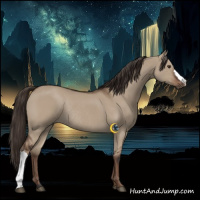 Horse Color:Liver Red Dun Rabicano 