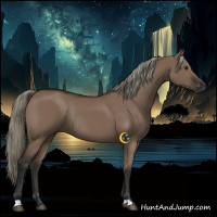 Horse Color:Liver Red Dun Rabicano