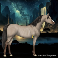 Horse Color:Liver Red Dun Rabicano 