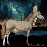 Horse Color:Liver Red Dun Rabicano 