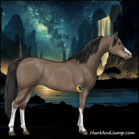 Horse Color:Liver Red Dun Rabicano 