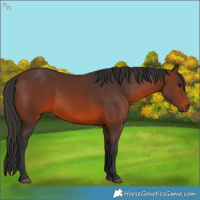 Horse Color:Brown 