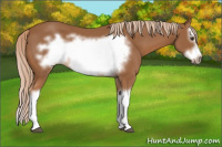 Horse Color:Chestnut Splash Frame 