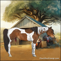 Horse Color:Buckskin Tobiano 