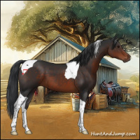 Horse Color:Brown Tobiano 