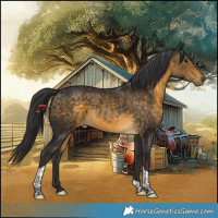 Horse Color:Buckskin Tobiano 