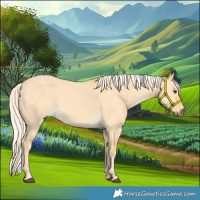 Horse Color:Palomino Dun 