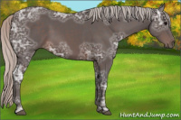 Horse Color:Silver Brown Ice 
