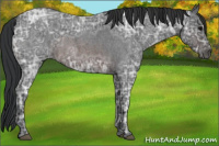 Horse Color:Brown Ice Roan