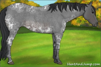 Horse Color:Brown Ice Roan 