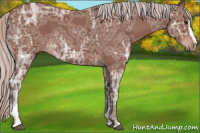 Horse Color:Silver Brown Ice Roan Sabino