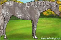 Horse Color:Silver Black Ice