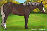 Horse Color:Silver Brown 