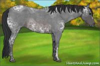 Horse Color:Brown Ice Roan 