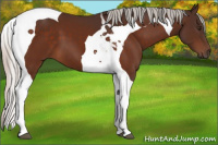 Horse Color:Silver Brown Tobiano 