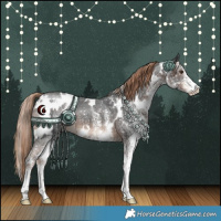 Horse Color:White Spotted Liver Chestnut 