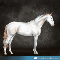 Horse Color:Gray Perlino Splash Tobiano 