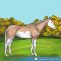 Horse Color:Silver Sable Champagne Splash