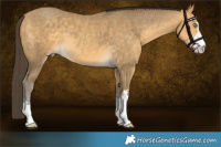 Horse Color:Sable Cream Champagne 