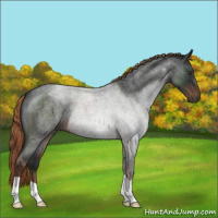 Horse Color:Liver Red Roan 