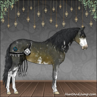 Horse Color:Brown Sabino 
