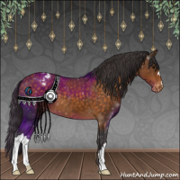 Horse Color:Buckskin Varnish 