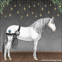 Horse Color:White Spotted Brown Ice Dun 