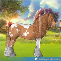 Horse Color:White Spotted Chestnut Tobiano 