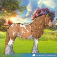 Horse Color:White Spotted Chestnut Tobiano 