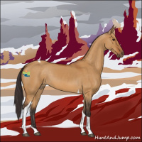 Horse Color:Buckskin Dun Tobiano 