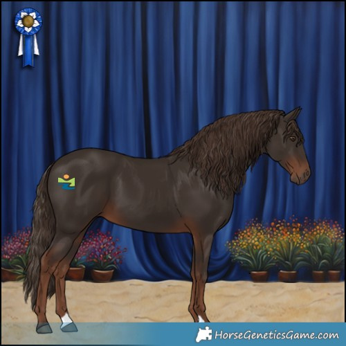 Horse Color:Liver Chestnut 