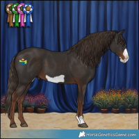 Horse Color:Liver Chestnut Frame 