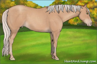 Horse Color:Silver Classic Champagne 