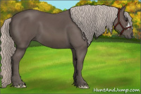 Horse Color:Silver Black 