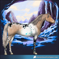 Horse Color:Chocolate Palomino Roan Dun Tobiano 