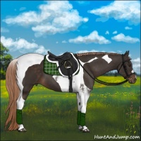 Horse Color:Liver Chestnut Tobiano