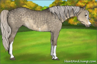 Horse Color:White Spotted Silver Smoky Grullo 