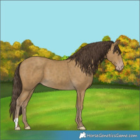 Horse Color:Classic Cream Champagne 