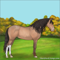 Horse Color:Sable Champagne 