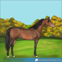 Horse Color:Brown 