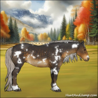 Horse Color:White Spotted Silver Smoky Black