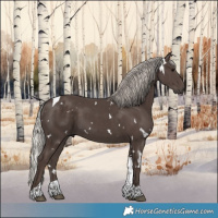 Horse Color:White Spotted Silver Black Tobiano Rabicano