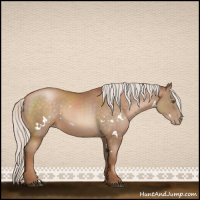 Horse Color:White Spotted Silver Brown Pearl Sabino Rabicano