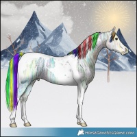 Horse Color:Painted Buckskin Ice Tobiano 