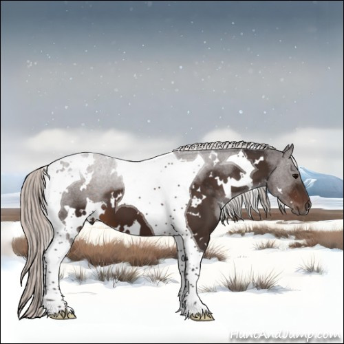 Horse Color:White Spotted Silver Brown Tobiano 