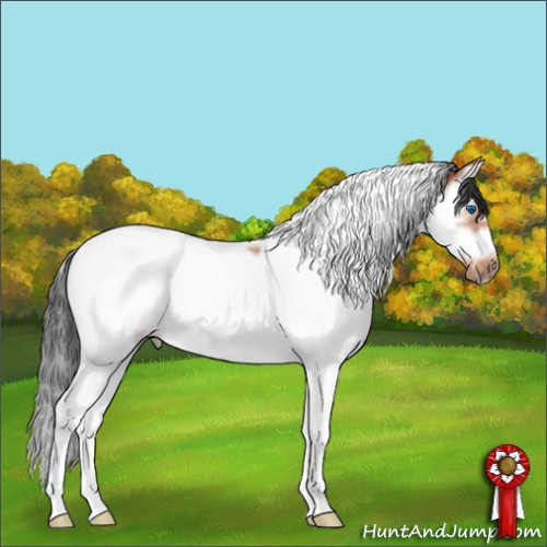 Horse Color:Bay Splash Tobiano Frame Rabicano 