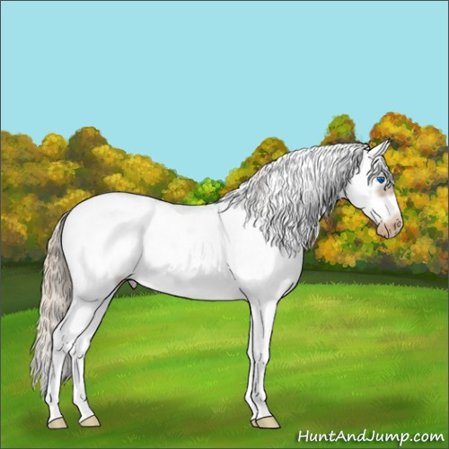 Horse Color:White Spotted Chocolate Palomino Splash Frame Appaloosa 